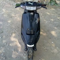 v100尸体