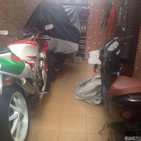 东莞出 NSR250 P4