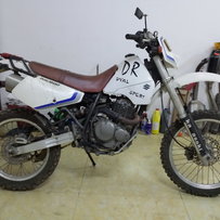 6888出精神DR250