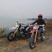 出售暴力山鸡