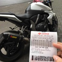 变异大黄蜂