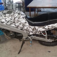 出台TZR125(T仔)