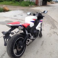 出售CBR1000鹦鹉