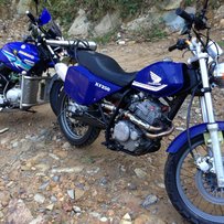 ftr223林道之王