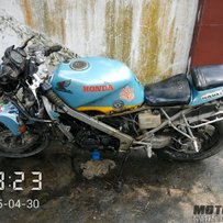 尸体VFR24期
