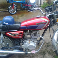 出两只本田车