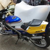 NSR---P2