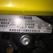 大朗出售黄色讯鹰