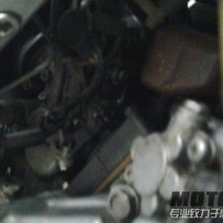 出台精神p3