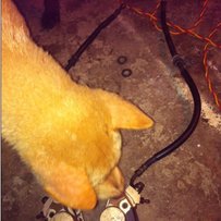 日清卡钳