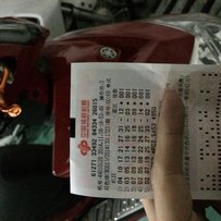 增城新塘出13年小改山叶劲战