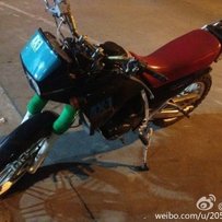 卖古董爬鸡