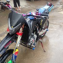 特技正林出售