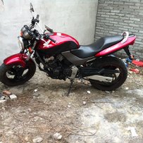 出售小黄蜂