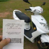 增城新塘镇出迅鹰