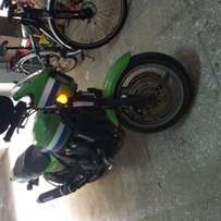 新丰出00年小猪ZRX400