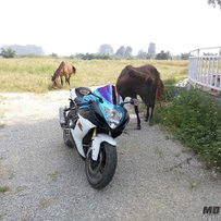 广西南宁市上林县出11年铃木GSX750R，求秒啦~~~