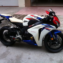 （代友）阳江出售08CBR1000靓仔鹦鹉
