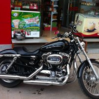 东莞转让大贱人1200  小猪头400  哈雷XL1200