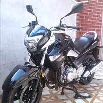 SUZUKI 骊驰250